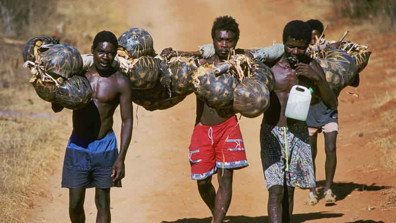 madagascar ilakaka prostituée